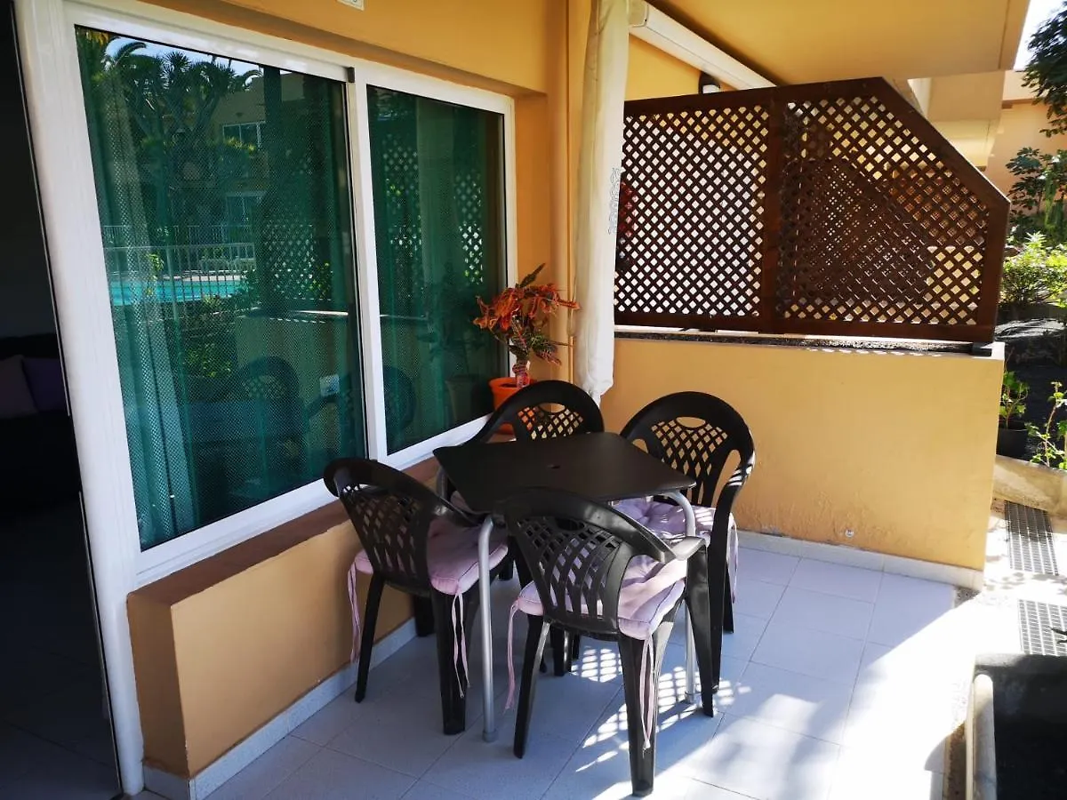 Alicebungalowpoolview-Summer Corralejo