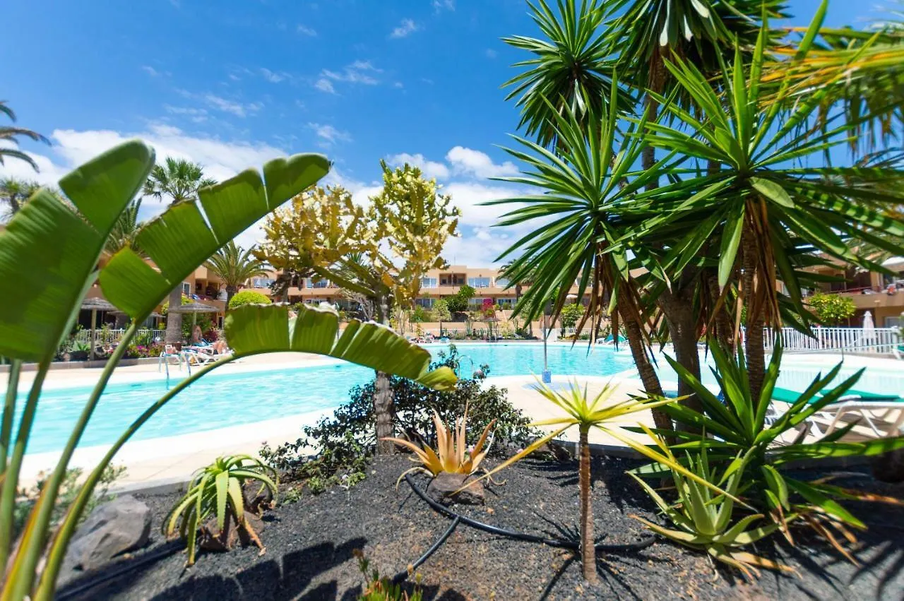 Apartment Alicebungalowpoolview-Summer Corralejo Spain