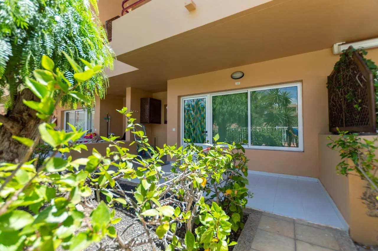 Alicebungalowpoolview-Summer Corralejo Apartment